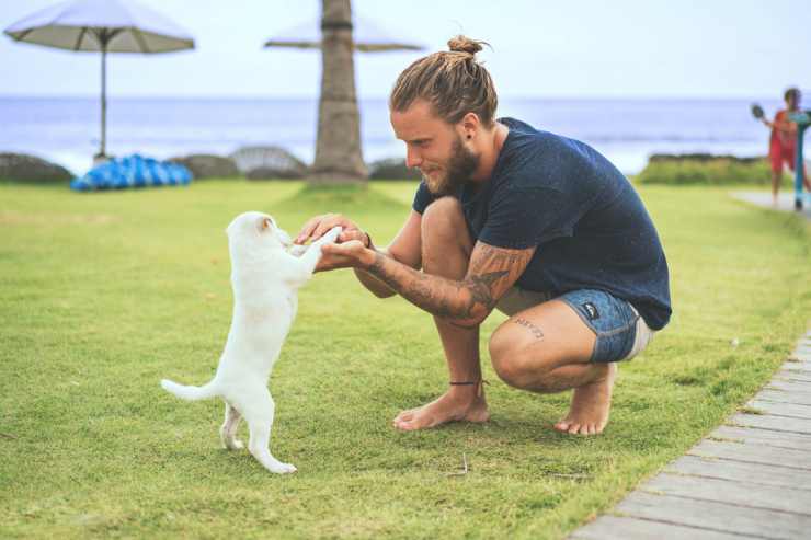 Cachorro y dueño