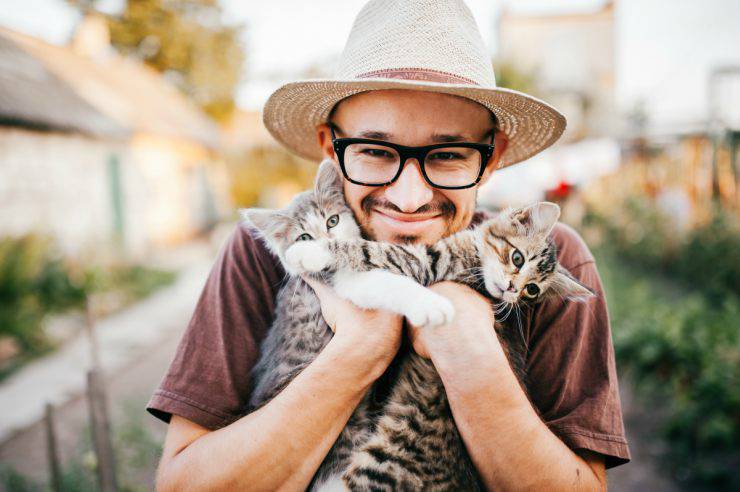 Conviértete en el mejor amigo del gato