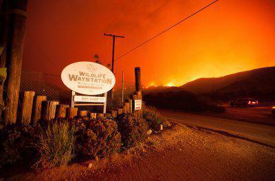 la estación de la vida salvaje