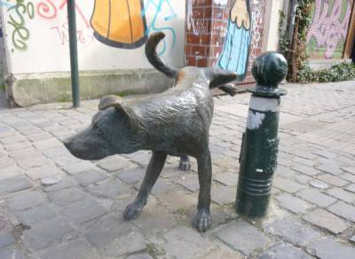 orina de perro