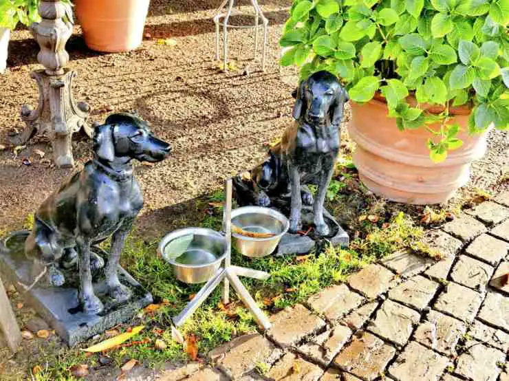 Cuenco elevado para perros