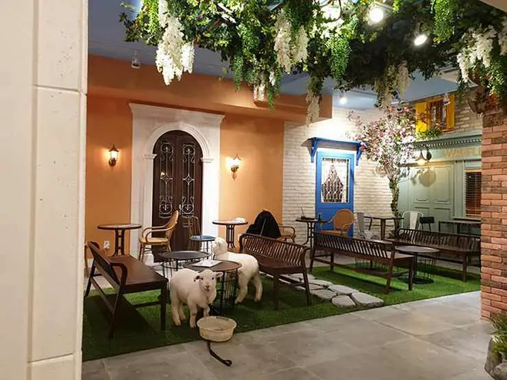 cafe con animales