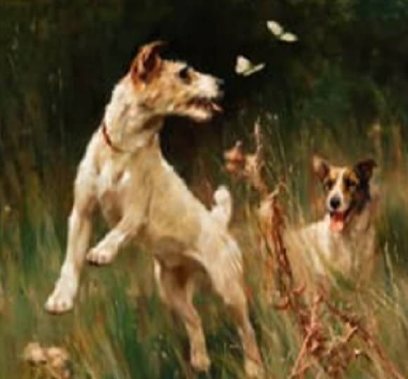museo del perro