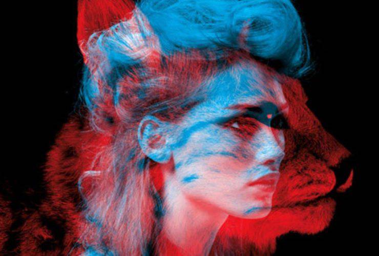 descubrir animal guía