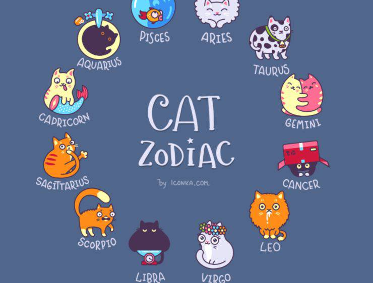 signo del horóscopo de personaje de gato
