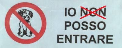 prohibición de perro