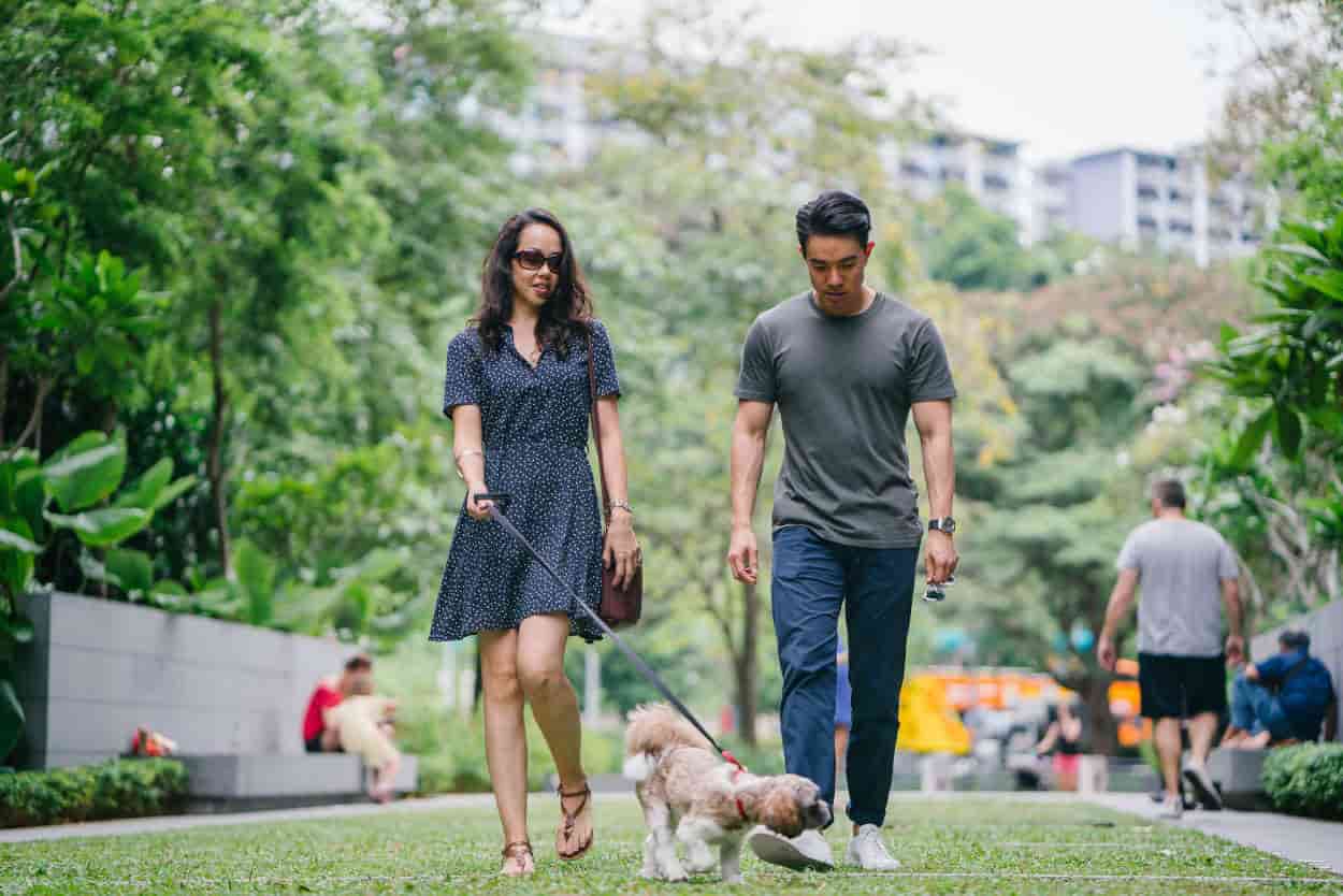 perro huele a extraños