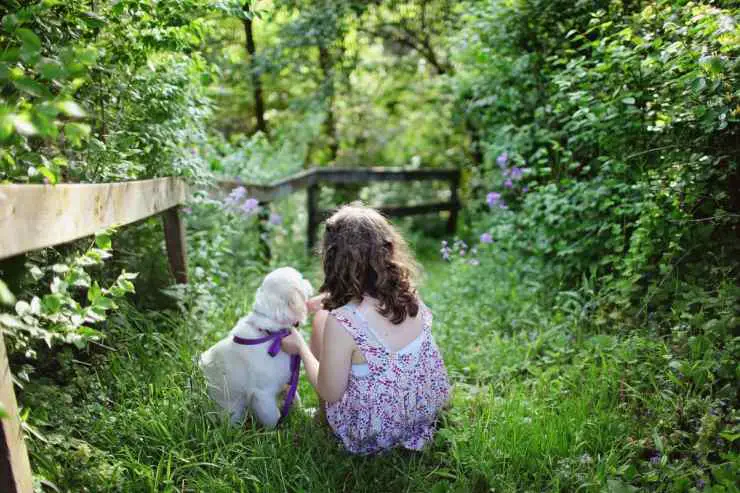 El perro no soporta a los niños