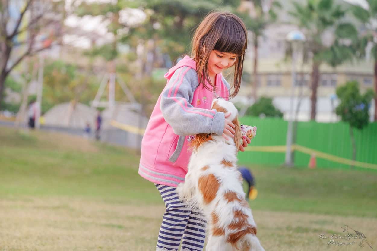 enseñarle al niño a traer correa de perro