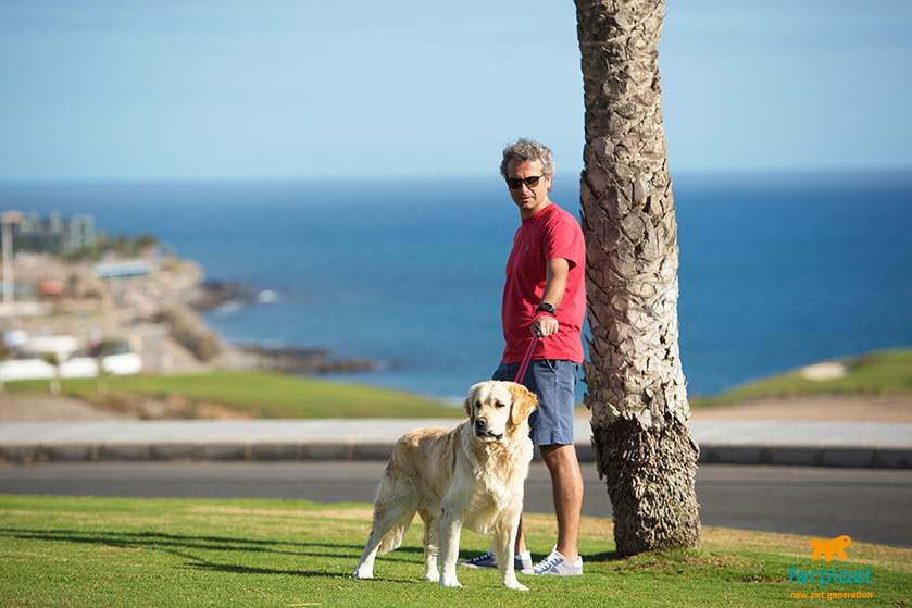 Entrenamiento con el perro