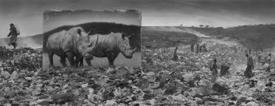 Wasteland con rinocerontes y residentes 2015 @Nick Brandt