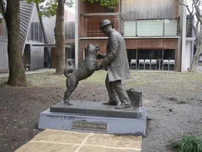 Historia real de la estatua de Hachiko