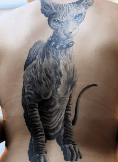 tatuaje gatto3