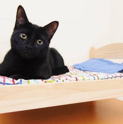 © Instagram @DanielBoczarski