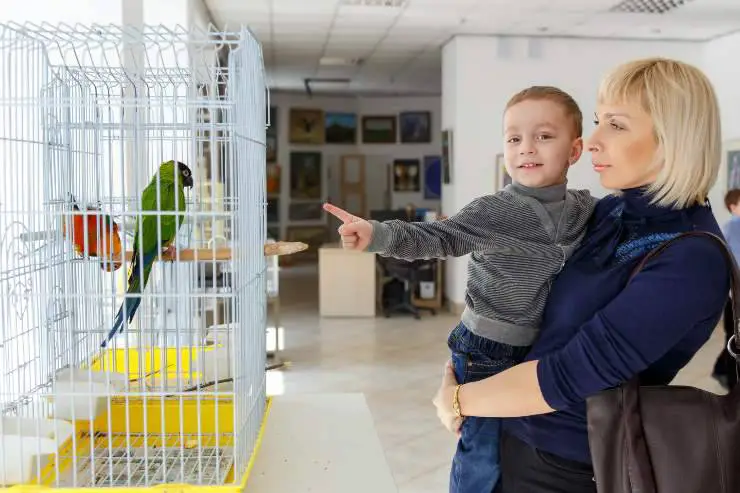 loros y niños