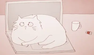 gatos