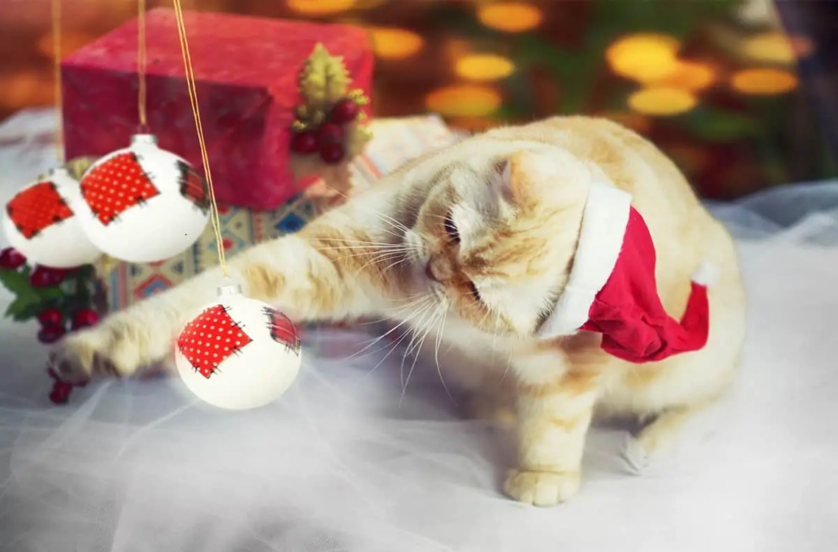 Gato y arbol de navidad