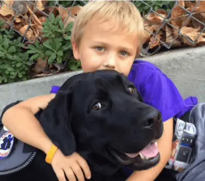 perros anti diabetes