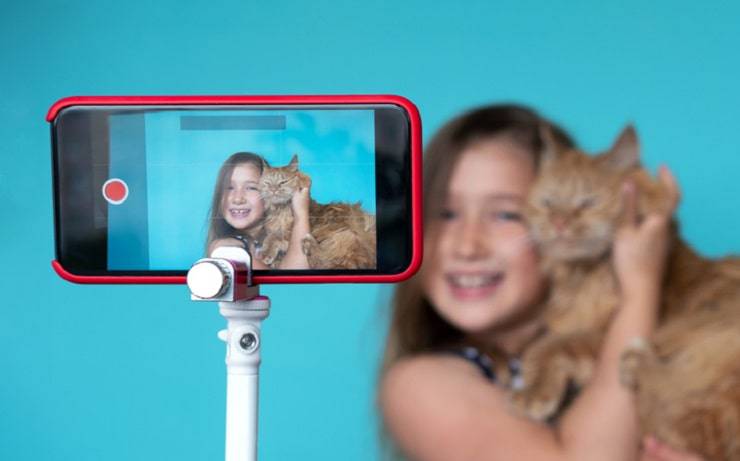 video con gatitos
