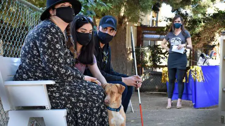 Familia Louis Blind Dog
