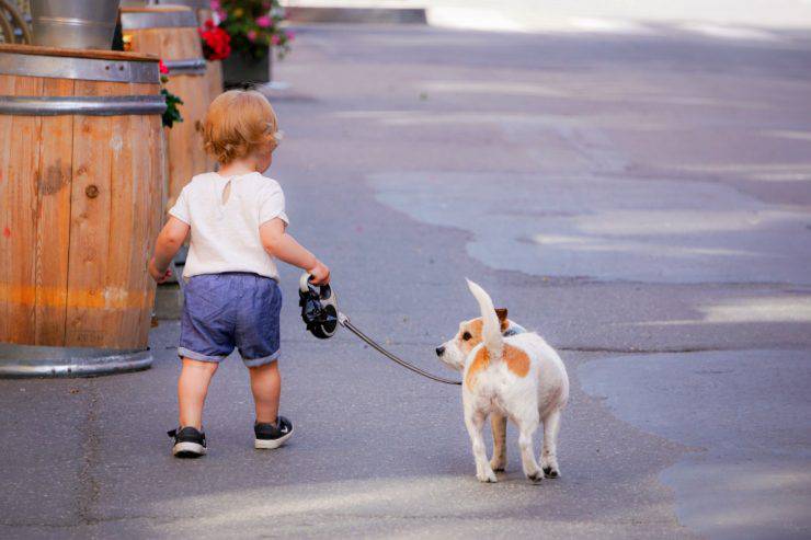 animales para niños