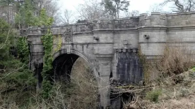 puente de perro suicida