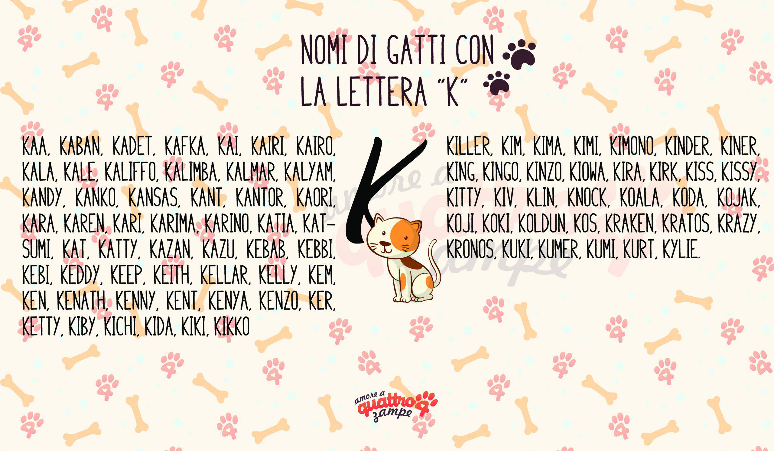 Nombres de gatos machos y hembras con K: elija entre más de 120 ideas