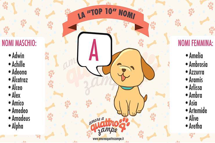 los 10 nombres de perros más usados con la letra a nombres de perros machos hembras con la letra A.
