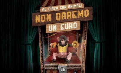 animales de circo