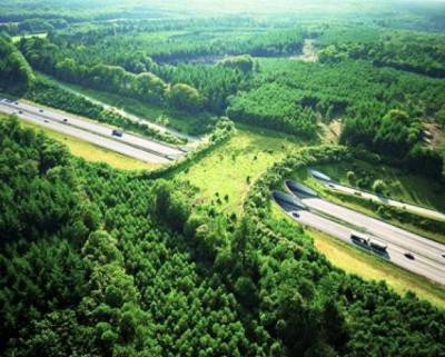Ecoduct De Woeste Hoeve sobre la autopista A50, Países Bajos