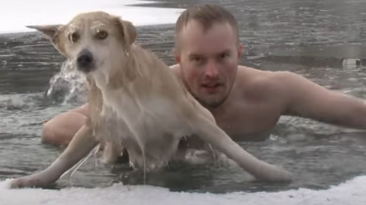 reportero perro ahoga rusia