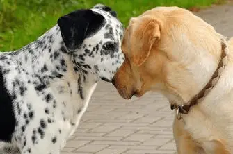 Captura de pantalla 13/05/2016 a las 11.57.51