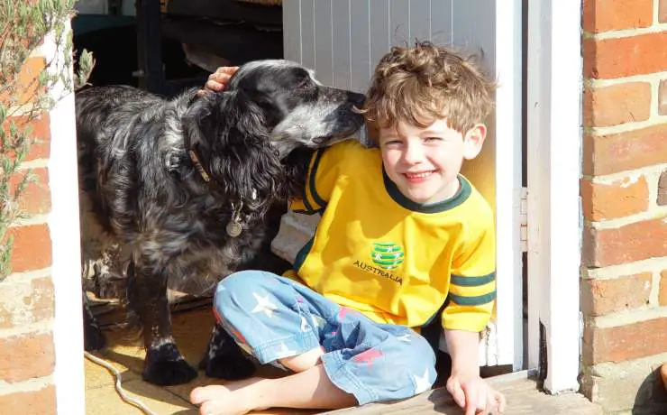 Niños encuentran perro VIDEO