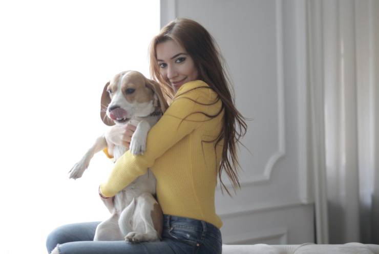 Pide prestado a tu perro por unos días