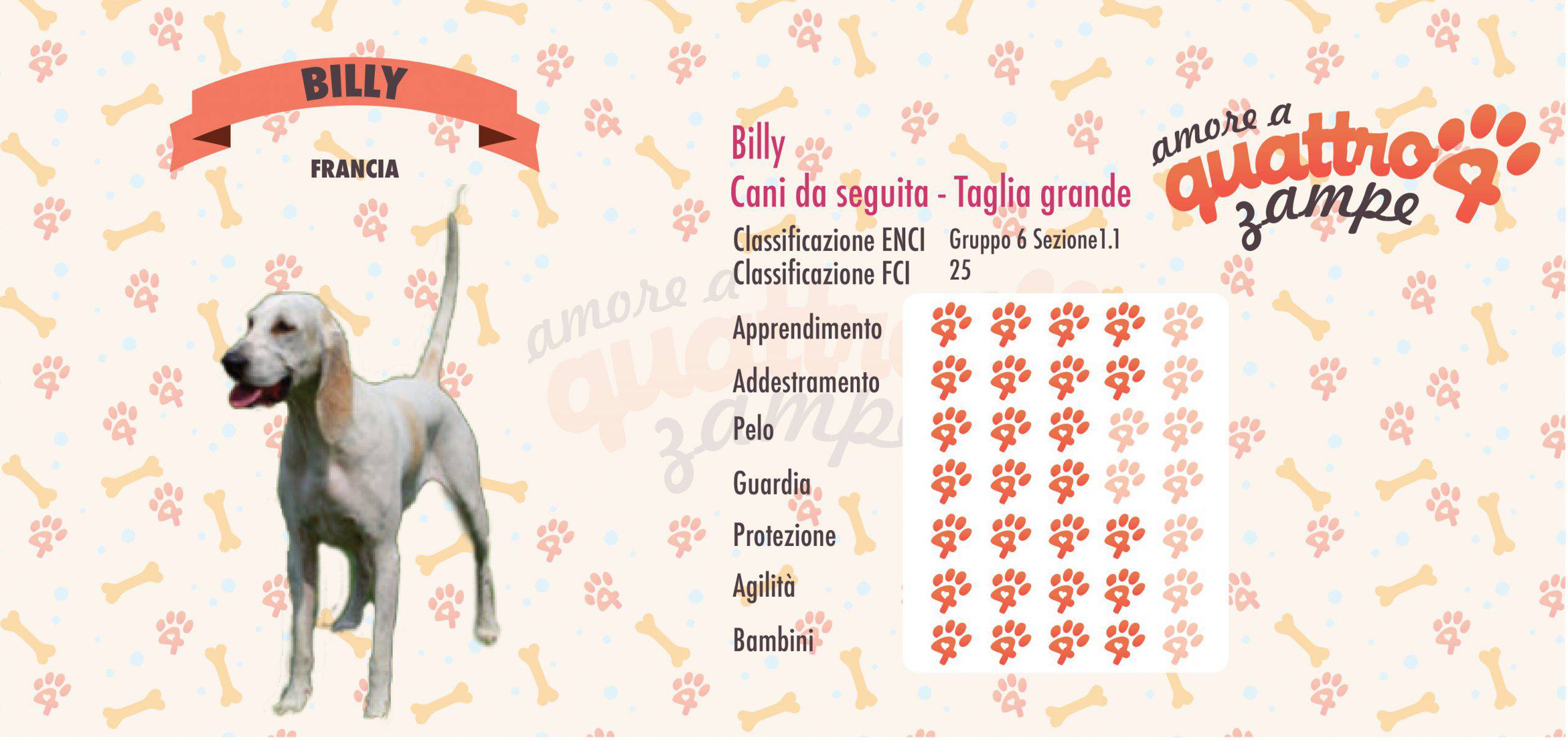 Porra Vida Con Mascotas porra-vida-con-mascotas