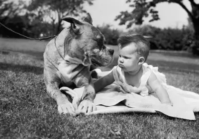 perros recién nacidos 3