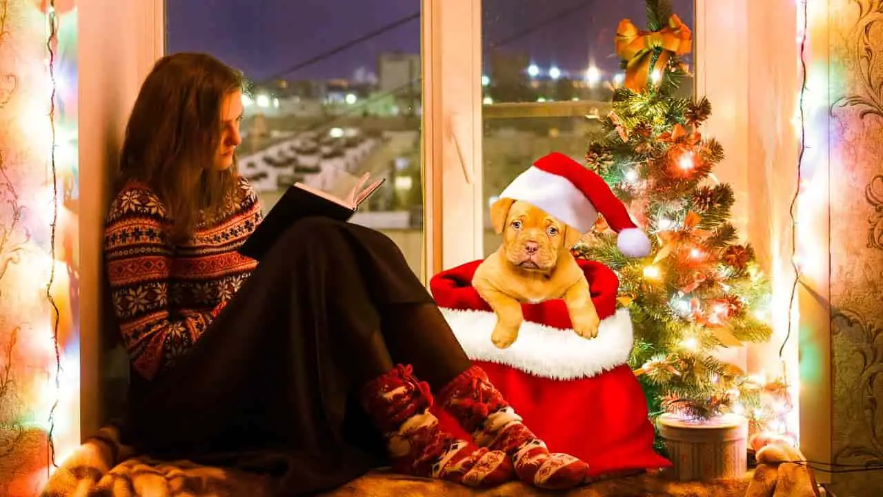 Regalos de Navidad para los amantes de los perros