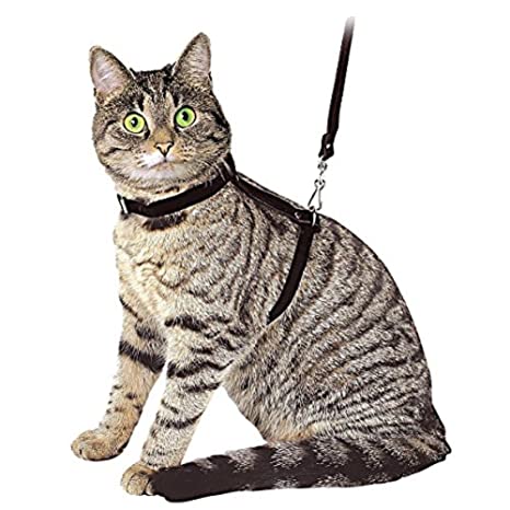 Resultado de imagen para arnés de gato