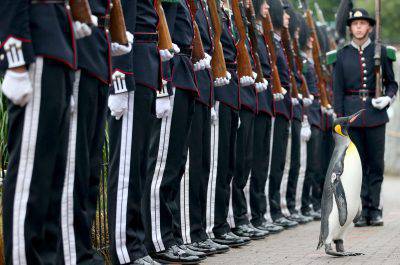 RETRANSMISIÓN DEL NOMBRE CORRECTIVO DEL PINGÜINO DE OLAF A OLAV SE DEBE LEER EL TÍTULO CORRECTO Los soldados uniformados del desfile de la Guardia del Rey de Noruega para su inspección por su mascota, el pingüino rey Nils Olav, que fue galardonado con el título de caballero en 2008, en el RZSS Edinburgh Zoo, cuando anuncian el promoción del pingüino y nuevo título de Brigadier Sir Nils Olav.  Foto de la ASOCIACIÓN DE PRENSA.  Fecha de la fotografía: lunes 22 de agosto de 2016. El prestigioso título fue otorgado durante una ceremonia especial a la que asistieron más de 50 soldados uniformados de la Guardia de Su Majestad el Rey de Noruega, que participan en el Royal Edinburgh Military Tattoo este año.  Sir Nils se abrió camino hasta Penguin Walk, mientras inspeccionaba a los soldados de la Guardia.  El pájaro real, negro, blanco y amarillo es la mascota de la Guardia de Su Majestad el Rey de Noruega y su honor está aprobado por el Rey Harald V de Noruega.  Consulte la historia de PA Pingüino de Escocia.  El crédito de la foto debe leer: Jane Barlow / PA Wire