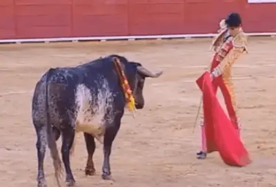 torero morto