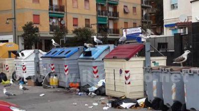 especies silvestres en riesgo