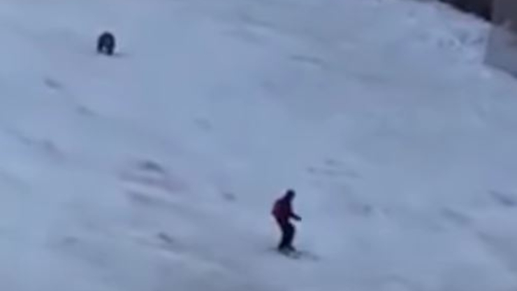 Video de Bear Skier