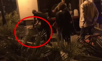 Contenido 100% original