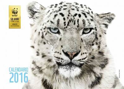 calendar_2016_def_low_page_01