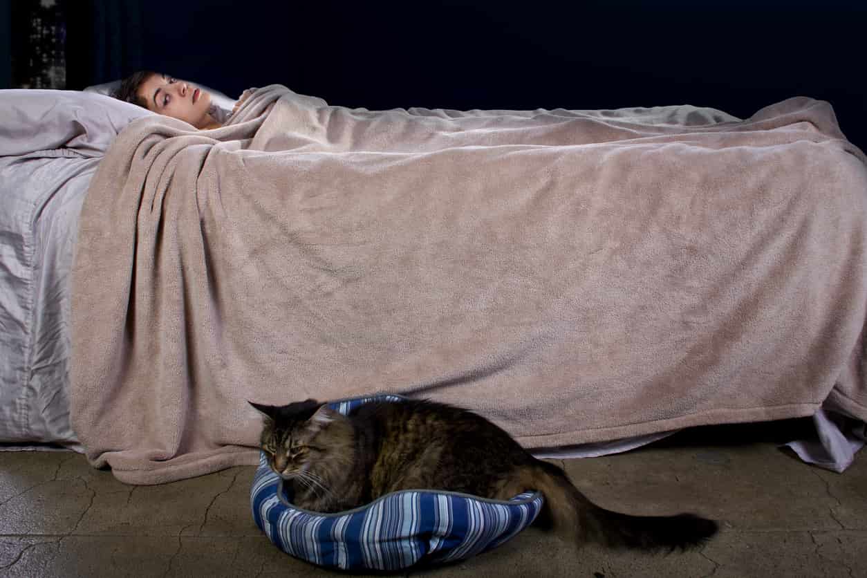 El gato te despierta temprano por la mañana o por la noche.