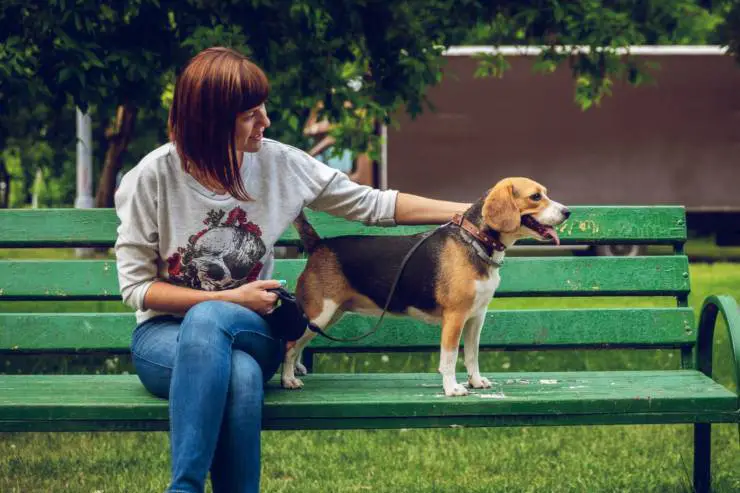 correa de perro retráctil