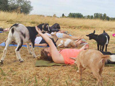 yoga-cabras