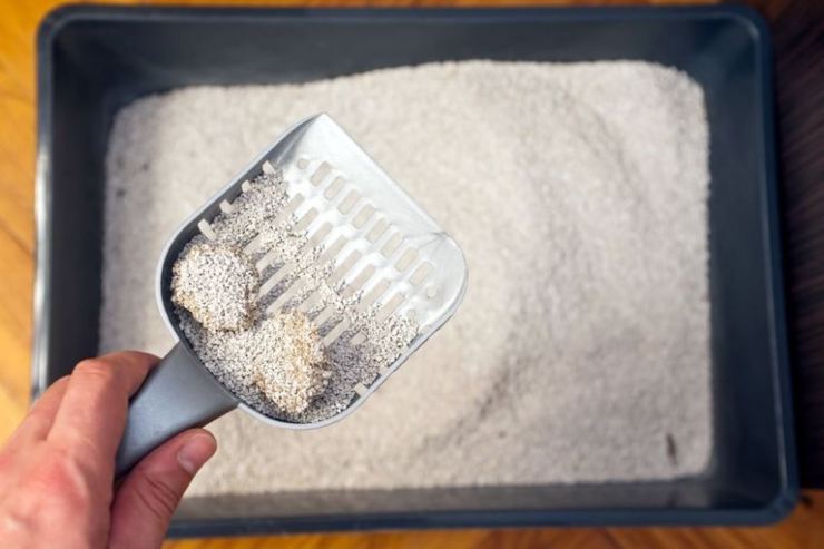 caja de arena para gatos