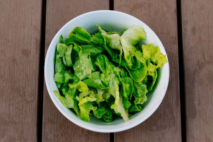 Lechuga para el hámster
