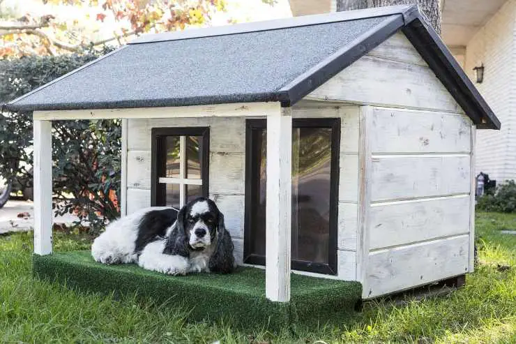 Accesorios de lujo para perros: cama para perros Accesorios de lujo para perros